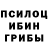Псилоцибиновые грибы Magic Shrooms Tema Flex