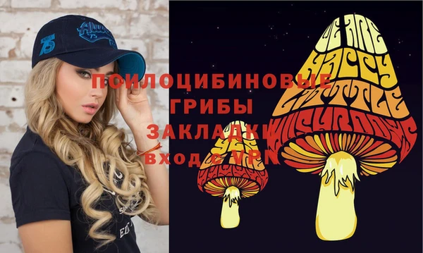 молекула духа Верея